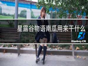 星露谷物语南瓜用来干什么