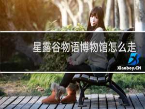 星露谷物语博物馆怎么走