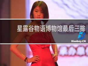 星露谷物语博物馆最后三排