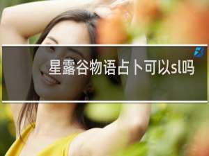 星露谷物语占卜可以sl吗