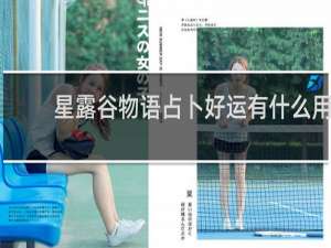 星露谷物语占卜好运有什么用