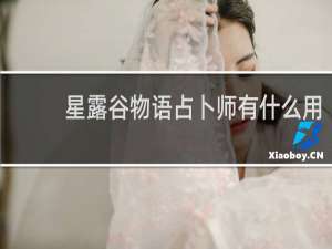 星露谷物语占卜师有什么用