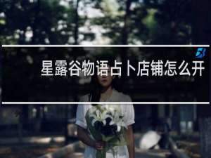 星露谷物语占卜店铺怎么开