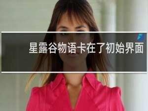 星露谷物语卡在了初始界面