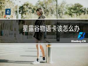 星露谷物语卡该怎么办