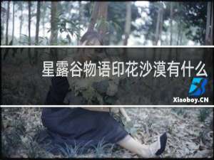 星露谷物语印花沙漠有什么