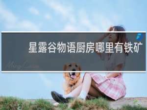 星露谷物语厨房哪里有铁矿