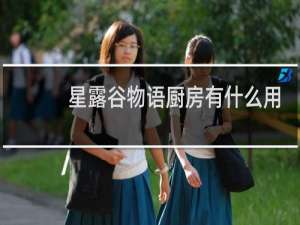 星露谷物语厨房有什么用