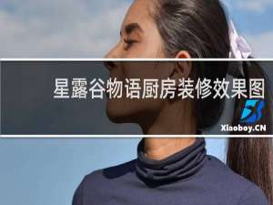 星露谷物语厨房装修效果图