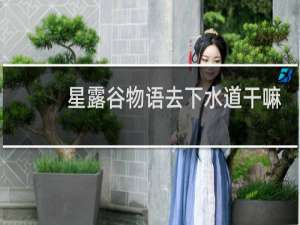 星露谷物语去下水道干嘛