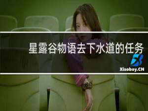 星露谷物语去下水道的任务