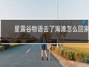 星露谷物语去了海滩怎么回家