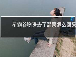 星露谷物语去了温泉怎么回来
