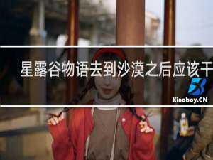 星露谷物语去到沙漠之后应该干啥