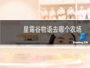 星露谷物语去哪个农场