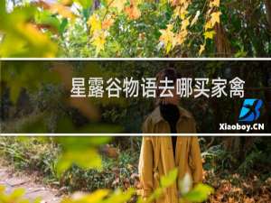 星露谷物语去哪买家禽