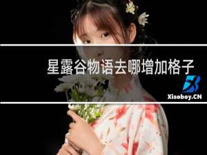 星露谷物语去哪增加格子