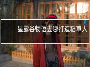 星露谷物语去哪打造稻草人