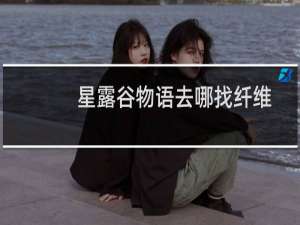 星露谷物语去哪找纤维