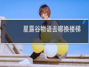 星露谷物语去哪换楼梯