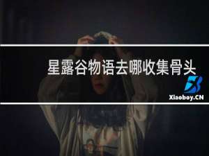 星露谷物语去哪收集骨头
