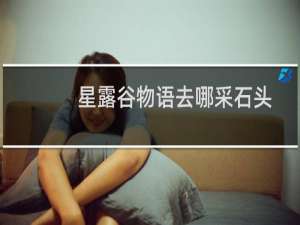 星露谷物语去哪采石头
