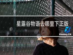 星露谷物语去哪里下正版