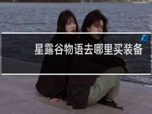 星露谷物语去哪里买装备