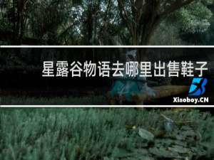 星露谷物语去哪里出售鞋子