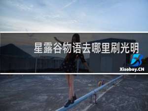星露谷物语去哪里刷光明