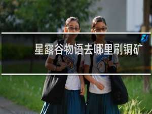 星露谷物语去哪里刷铜矿