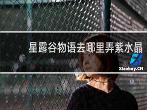 星露谷物语去哪里弄紫水晶