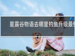 星露谷物语去哪里钓鱼升级最快