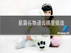 星露谷物语去哪里锻造