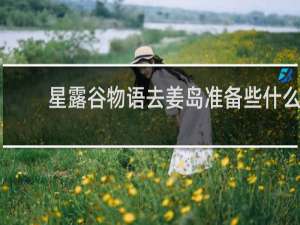 星露谷物语去姜岛准备些什么