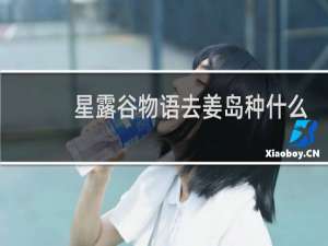 星露谷物语去姜岛种什么