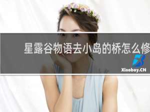 星露谷物语去小岛的桥怎么修