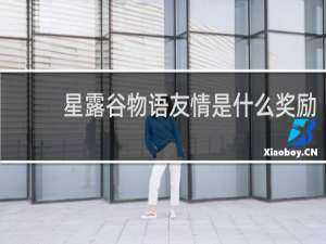 星露谷物语友情是什么奖励