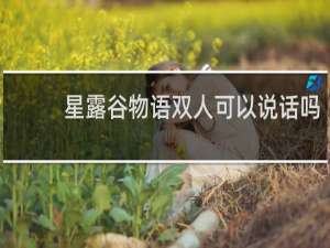 星露谷物语双人可以说话吗