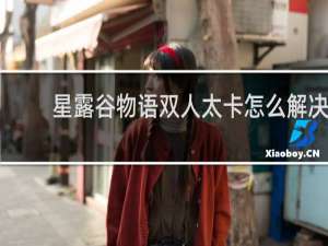 星露谷物语双人太卡怎么解决
