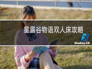 星露谷物语双人床攻略