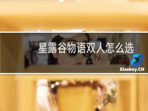 星露谷物语双人怎么选