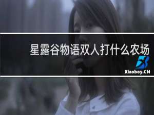 星露谷物语双人打什么农场