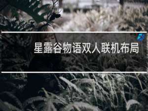 星露谷物语双人联机布局