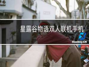 星露谷物语双人联机手机