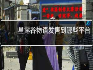 星露谷物语发售到哪些平台