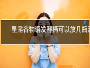 星露谷物语发酵桶可以放几瓶酒