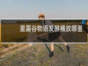 星露谷物语发酵桶放哪里