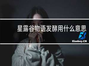 星露谷物语发酵用什么意思