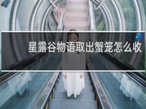 星露谷物语取出蟹笼怎么收